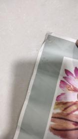 1979年 年历画  鱼翔图