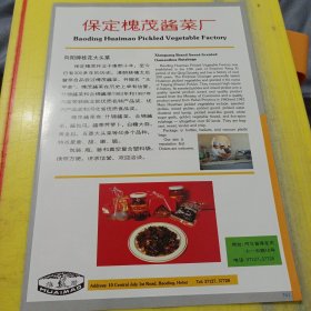 镇江市食品厂 冷泉牌 泉鲜桔水 江苏资料 保定槐茂酱菜厂 河北资料 广告纸 广告页
