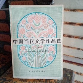 中国当代文学作品选