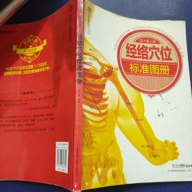 经络穴位标准图册（超大真人版）