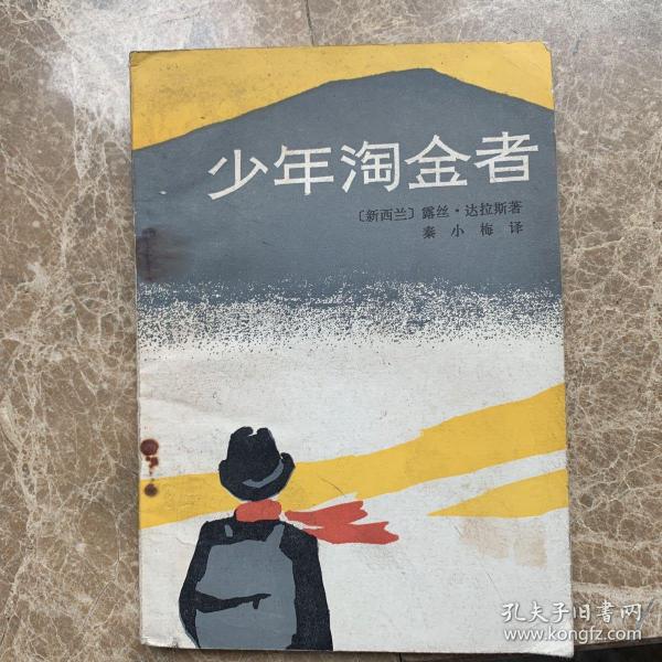 少年淘金者