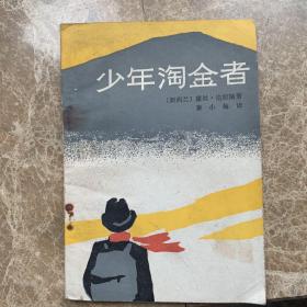 少年淘金者