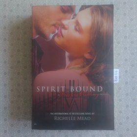 Vampire Academy . Spirit Bound Richard Mead 吸血鬼学院五 英文原版小说