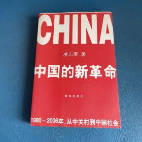 中国的新革命：1980-2006年，从中关村到中国社会