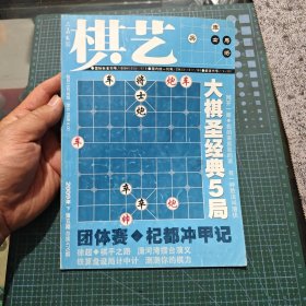 棋艺2009年下第五期