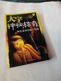 大宇神秘惊奇系列5：血色老屋.影子男孩