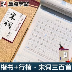 宋词三百首(楷行双体)/经典文化系列字帖 荆霄鹏 9787539465418