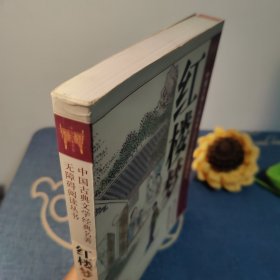 中国古典文学经典名著无障碍阅读丛书:红楼梦(上)随文注音注释，畅达高效阅读