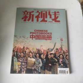 新视线 中国画册 2015年第156期