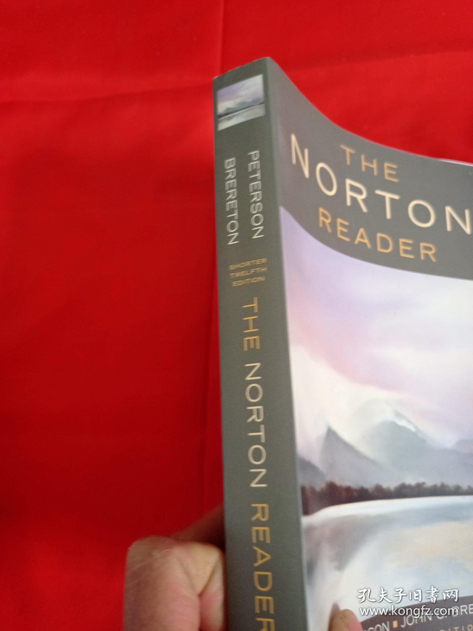 The Norton Reader: An Anthology of Nonfiction, Shorter Twelfth Edition