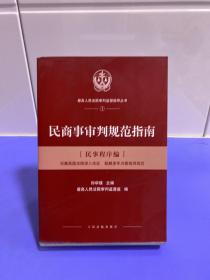 人民法院出版社 民商事审判规范指南（民事程序编）