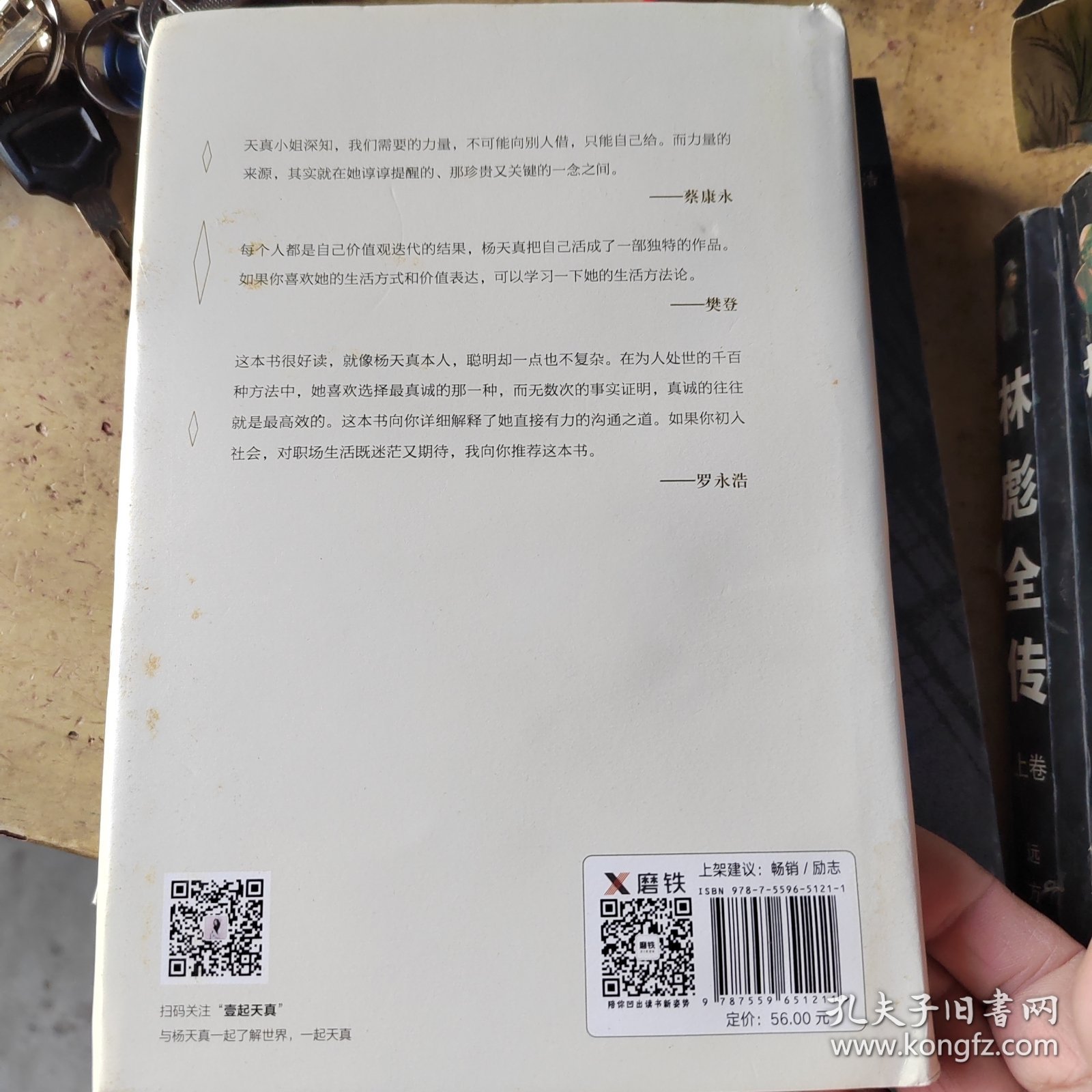 把自己当回事儿（杨天真的沟通秘籍！蔡康永、樊登、罗永浩真挚推荐，李诞、马伊琍、脱不花诚意作序。）