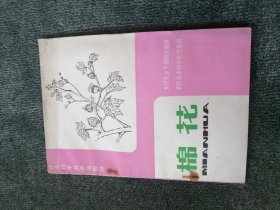 棉花