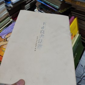 王正良書法選