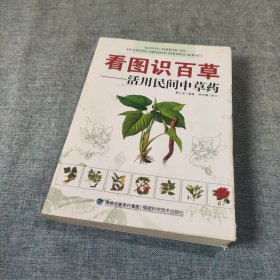 看图识百草：活用民间中草药