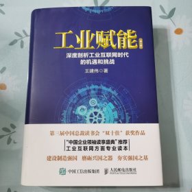 工业赋能：深度剖析工业互联网时代的机遇和挑战（第2版）