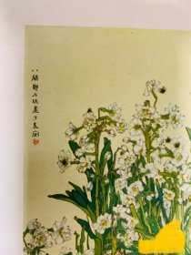《水仙花》郑乃珖绘1956年印刷画片