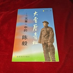 大雪压青松