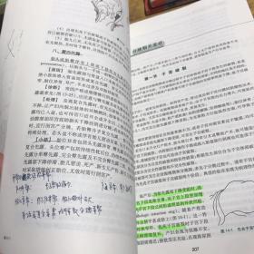 妇产科学 丰有吉/2版/八年制/配光盘十一五规划/供8年制及7年制临床医学等专业用