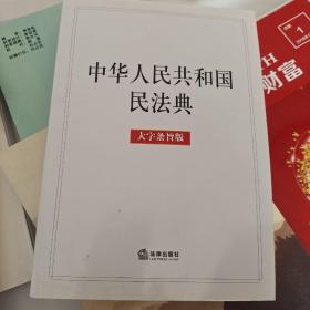 中华人民共和国民法典（大字条旨版）2020年6月