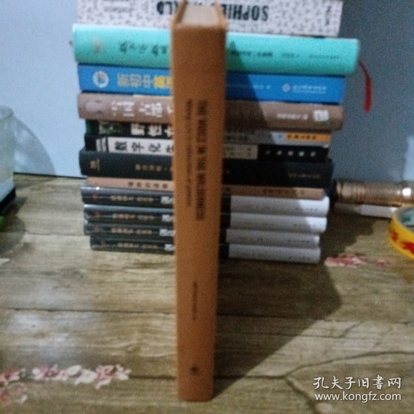 野地之声--王林诗歌选（精装 中英双语插图本 作者签赠本）