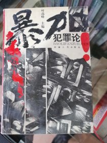 暴力犯罪论