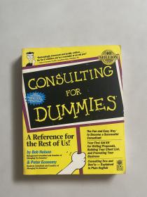 Consulting For Dummies (For Dummies (Lifestyles Paperback))-