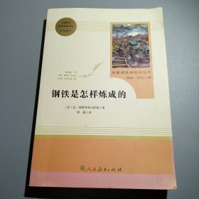 统编语文教材配套阅读 八年级下：钢铁是怎样炼成的/名著阅读课程化丛书