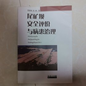 尾矿坝安全评价与病患治理