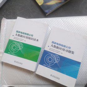 国家电网有限公司大数据应用知识读本＋大数据应用习题集（2本合售