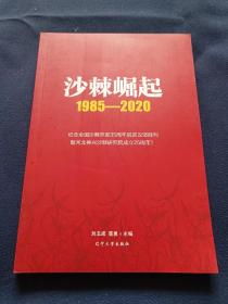 沙棘崛起1985-2020