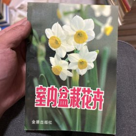 室内盆栽花卉