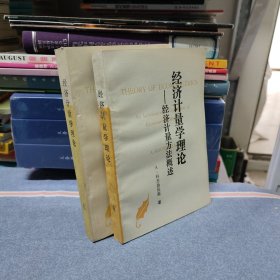 经济计量学理论 经济计量方法概述 上下册