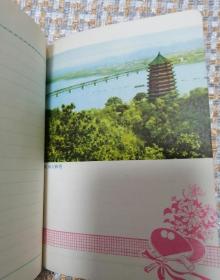 革命日记（有多幅插图，未使用）