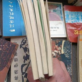 胡适 江冬秀，鲁迅  许广平，徐悲鸿  廖静文，朱自清  陈竹隐——名人情结丛书