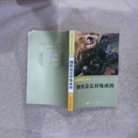 钢铁是怎样炼成的