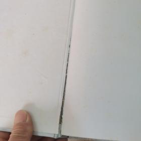 斜拉桥（第1版）