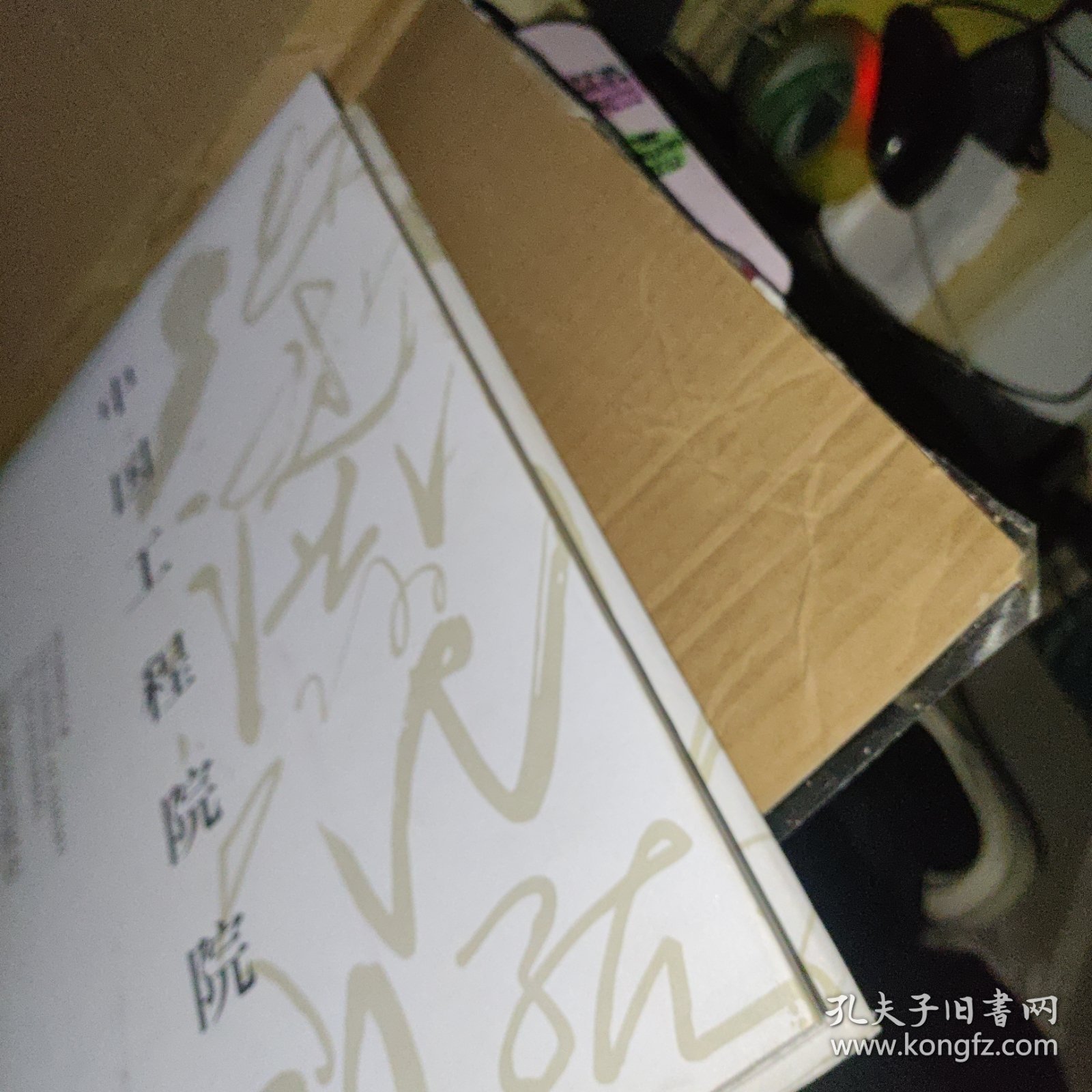 中国工程院院士（13）