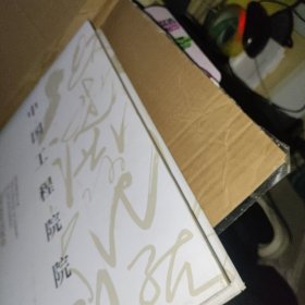 中国工程院院士（13）