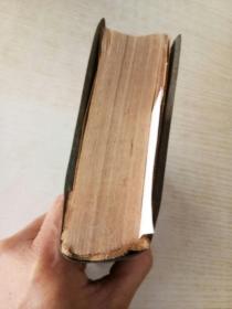 上海常用中草药