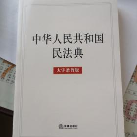 中华人民共和国民法典（大字条旨版）2020年6月