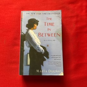 The Time In Between A Novel