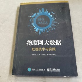 物联网大数据处理技术与实践