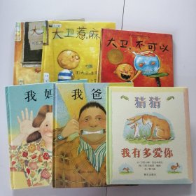 大卫上学去 大卫惹麻烦 大卫不可以 我妈妈 我爸爸 猜猜我有多爱你（6本合售）精装