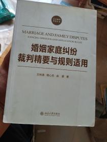 法官裁判智慧丛书：婚姻家庭纠纷裁判精要与规则适用