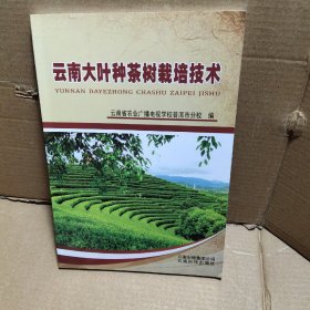 云南大叶种茶树栽培技术