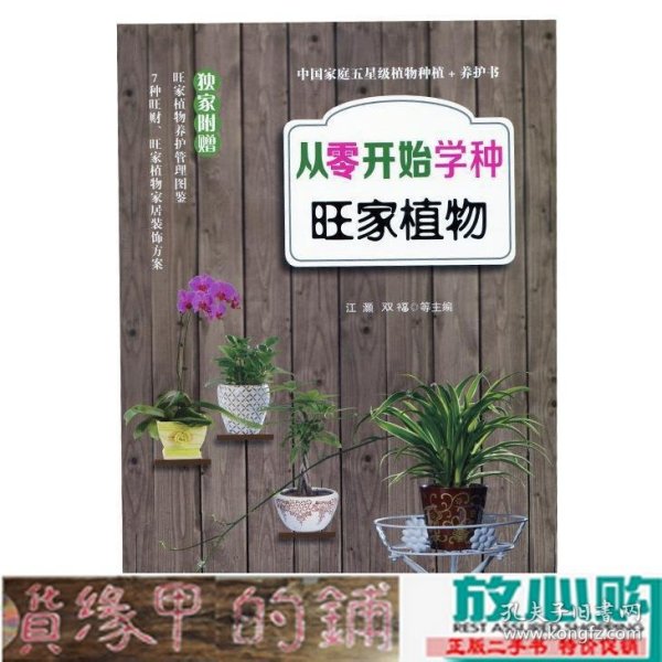 从零开始学种旺家植物