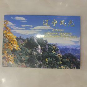 辽宁风光 航空 邮资 明信片