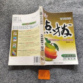 特高级教师点拨：9年级数学（下）（配人教）