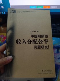 中国现阶段收入分配公平问题研究